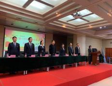升华舞台！球员豪情万丈，展现全新风采的简单介绍