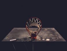  国家对干细胞最新消息 